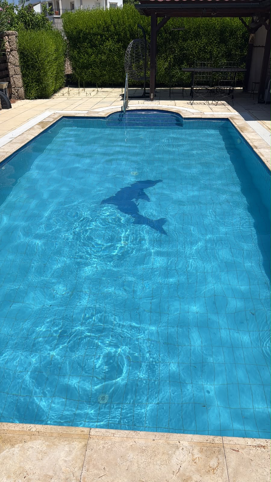 After professional pool cleaning