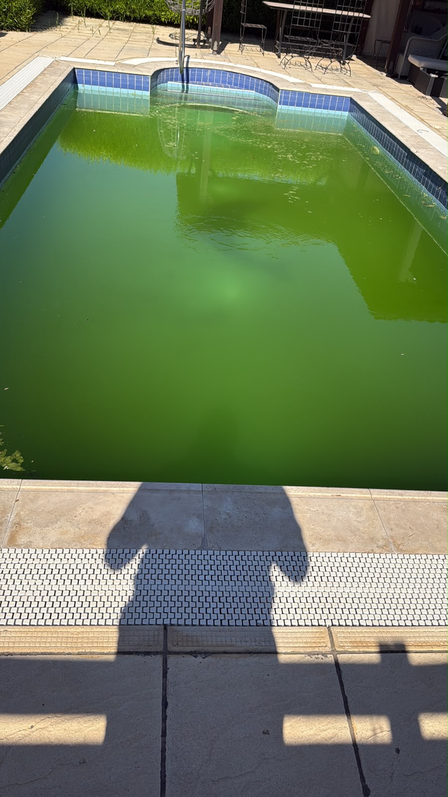 Before pool cleaning